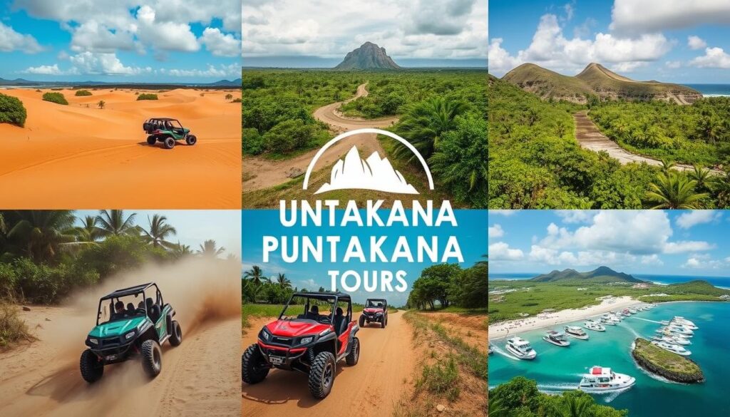 types of buggy tours